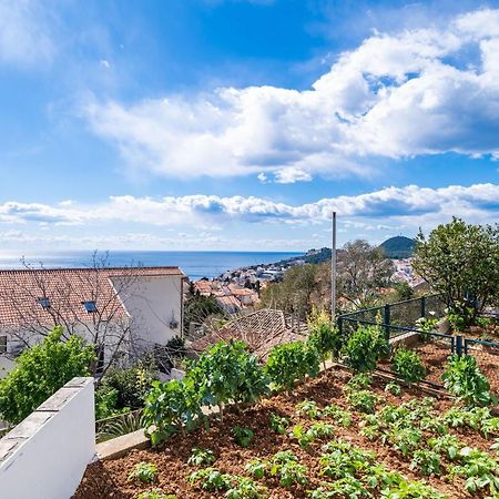 Apartment Debos دوبروفينك المظهر الخارجي الصورة