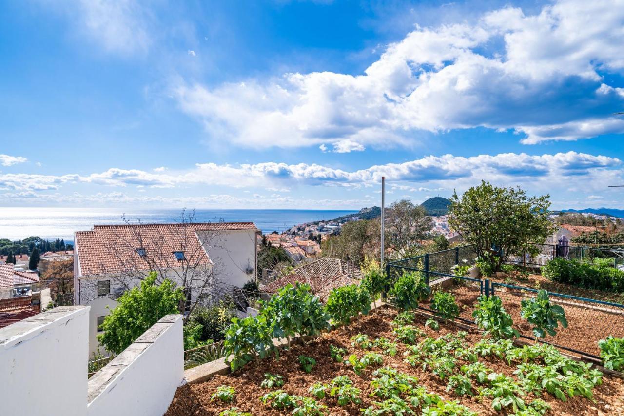 Apartment Debos دوبروفينك المظهر الخارجي الصورة